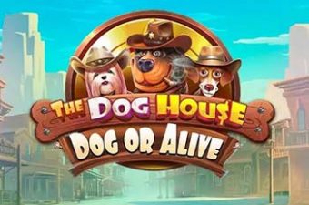 The Dog House — Dog or Alive